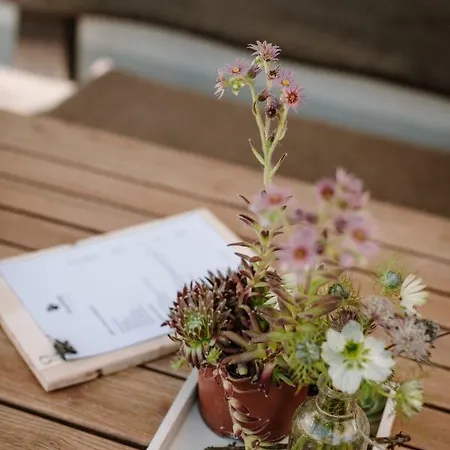 Wildstrubel Alojamento de Acomodação e Pequeno-almoço Adelboden