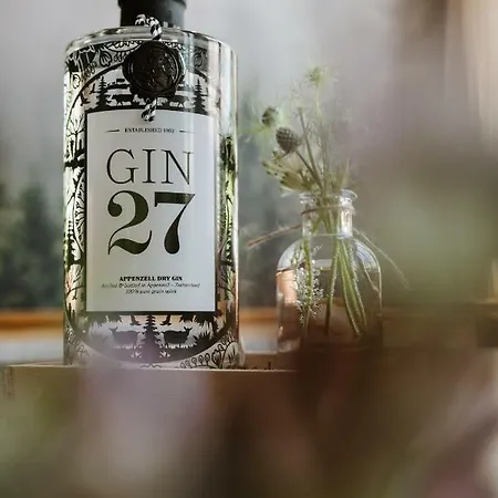 Alojamento de Acomodação e Pequeno-almoço Wildstrubel Adelboden