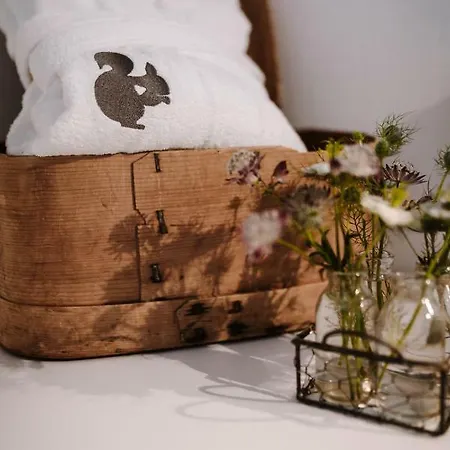 Wildstrubel فندق مبيت وإفطار