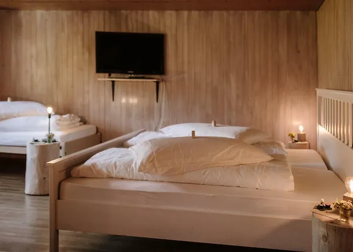 Bed & Breakfast Wildstrubel Adelboden