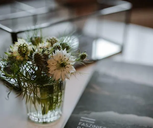 住宿加早餐酒店 Wildstrubel