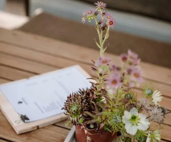 Wildstrubel 住宿加早餐酒店 阿德尔博登